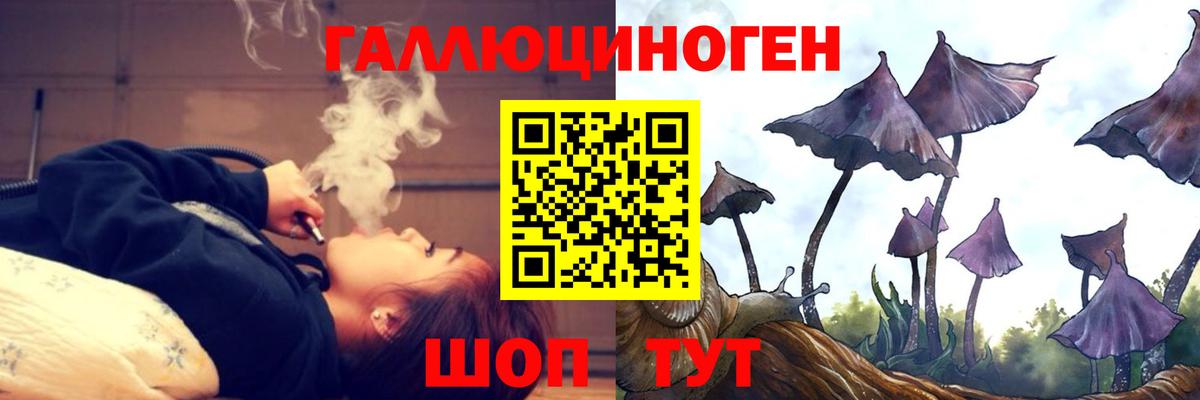 Галлюциногенные грибы Magic Shrooms  Псилоцибиновые грибы MAGIC MUSHROOMS  Вход с VPN  Славгород 
